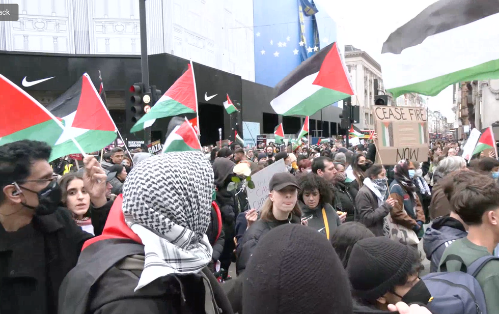 Palestine protesters