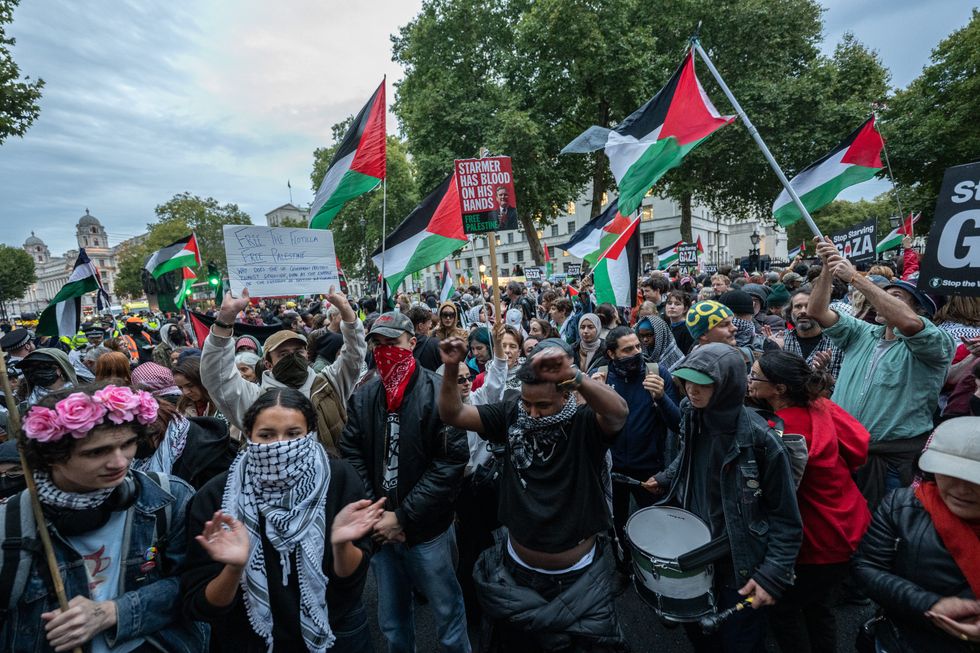 Palestine protestors