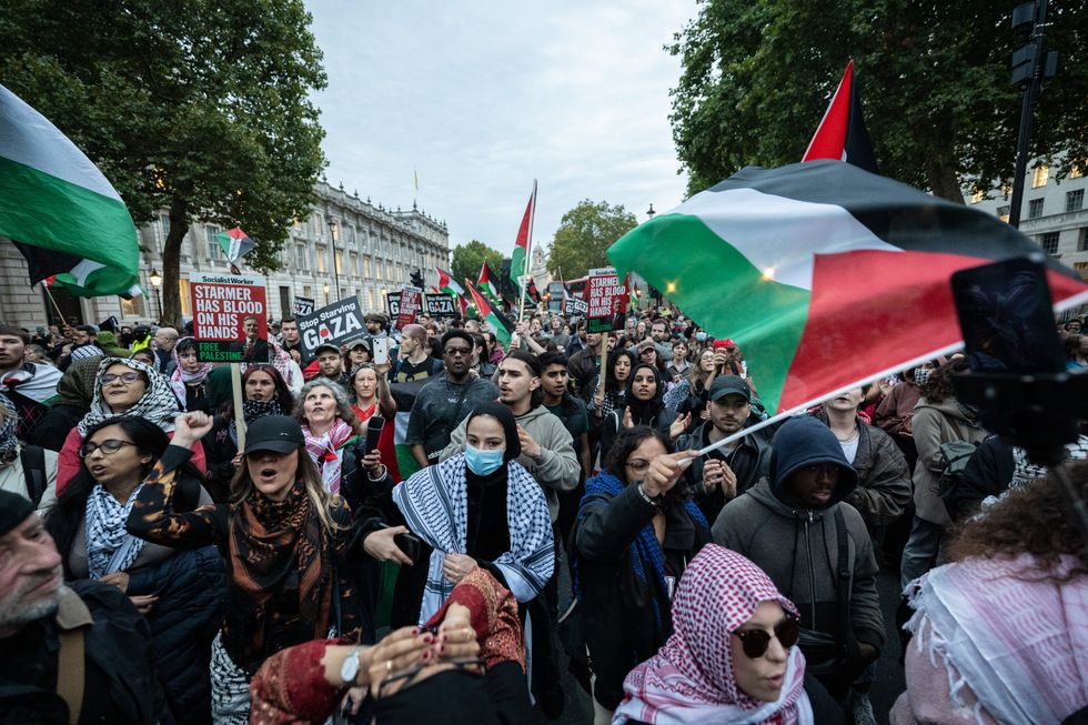 Palestine protestors