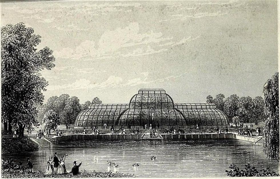 Palm House drawing