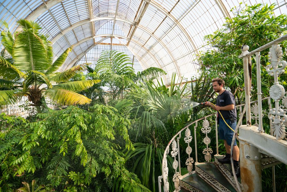 Palm House, Kew Gardens