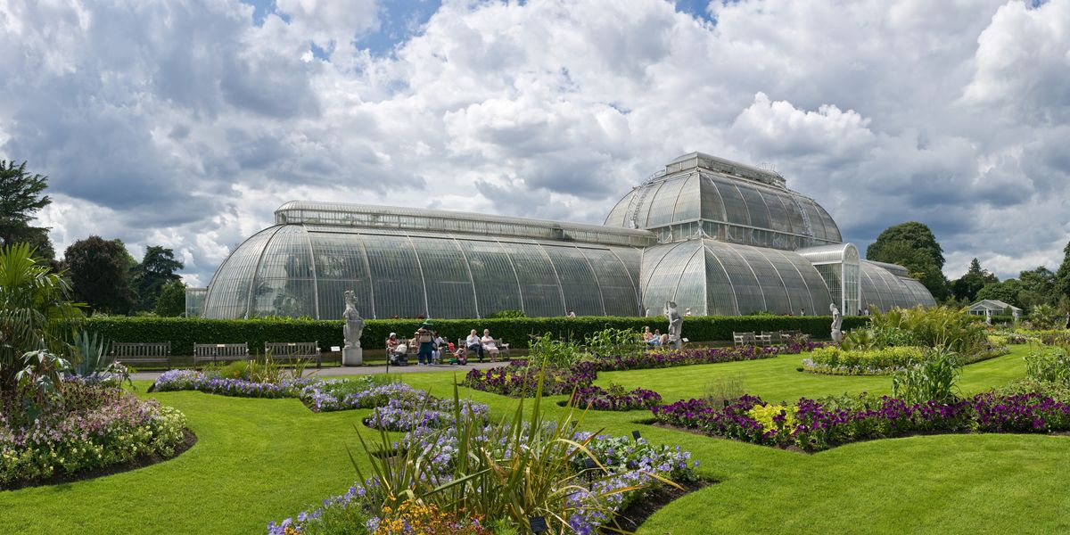 NextImg:Kew Gardens to close iconic tropical plant greenhouse for four years in net zero push