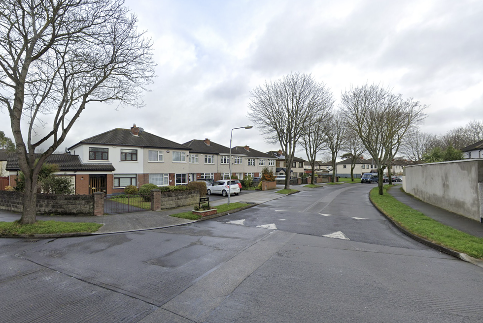Palmerstown Woods, Clondalkin, Dublin