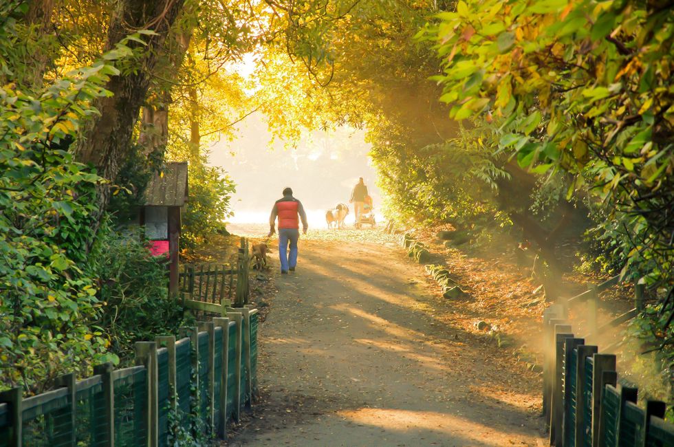 Park in East Renfrewshire