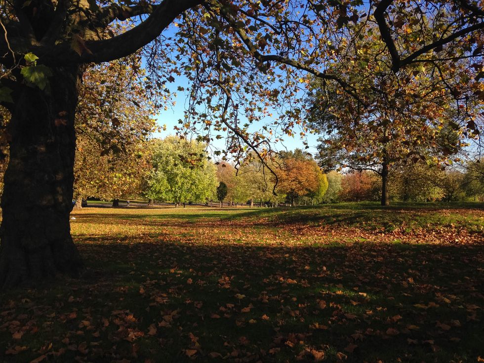 Park in London