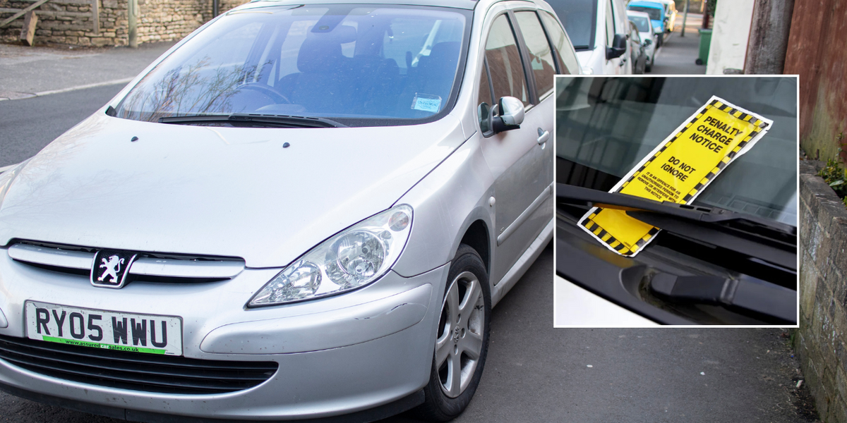 Motorists back new parking ban as Britons ‘realise the consequences’ of inconsiderate moves Motorists back new parking ban as Britons ‘realise the consequences’ of inconsiderate moves