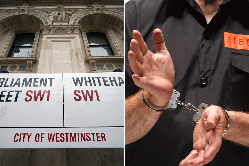 Parliament Street/Whitehall, man in handcuffs