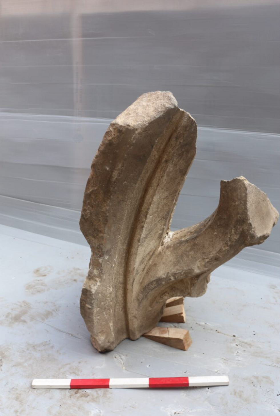 Part of vault discovered