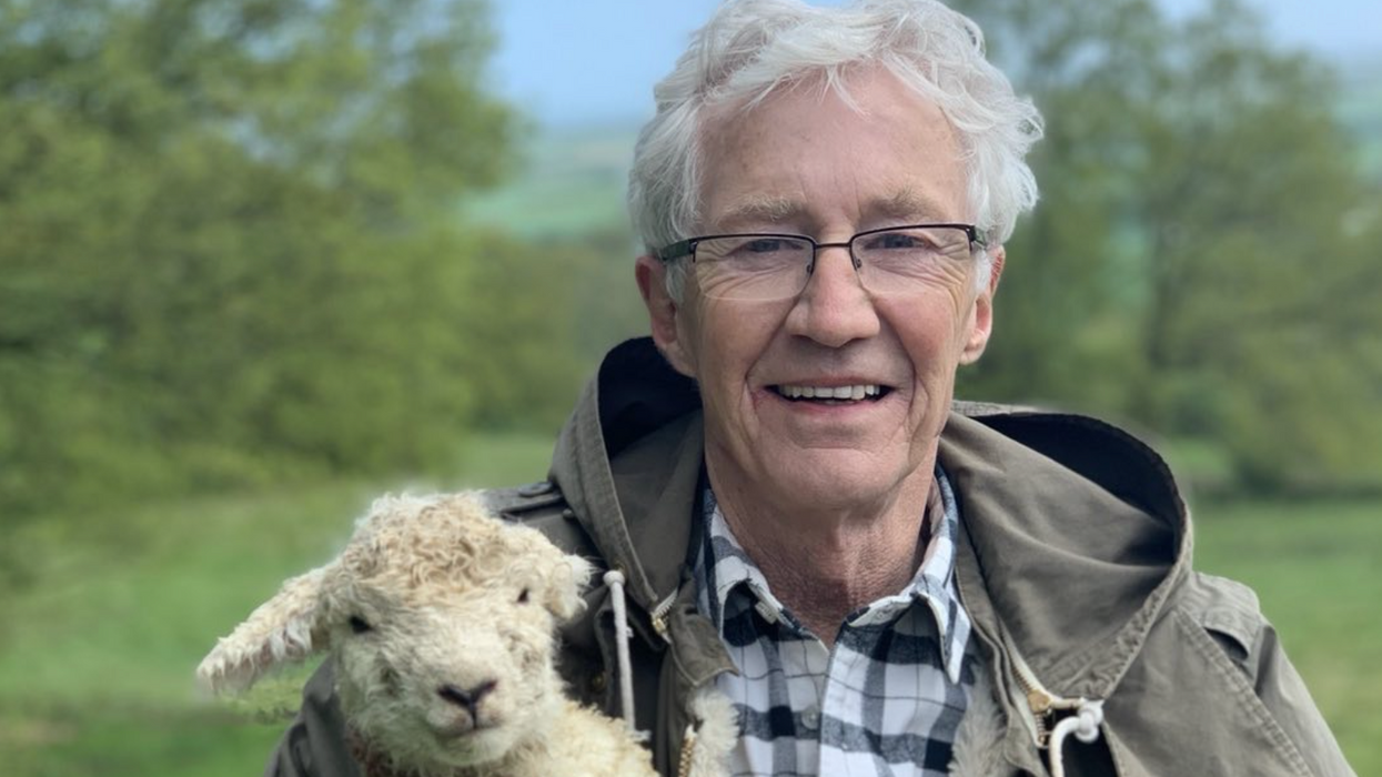Paul O'Grady in a field with a lamb