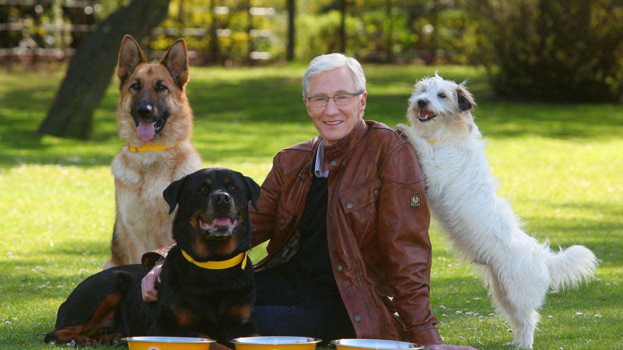 Paul O'Grady sitting with four dogs