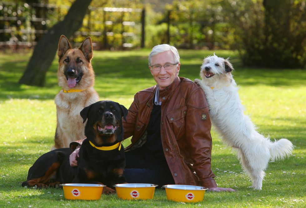 Paul O'Grady with three dogs