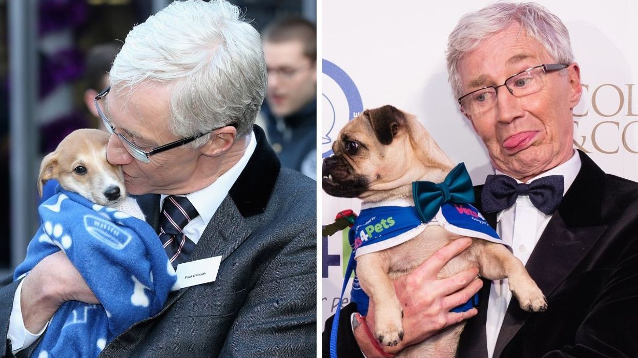 Paul O'Grady
