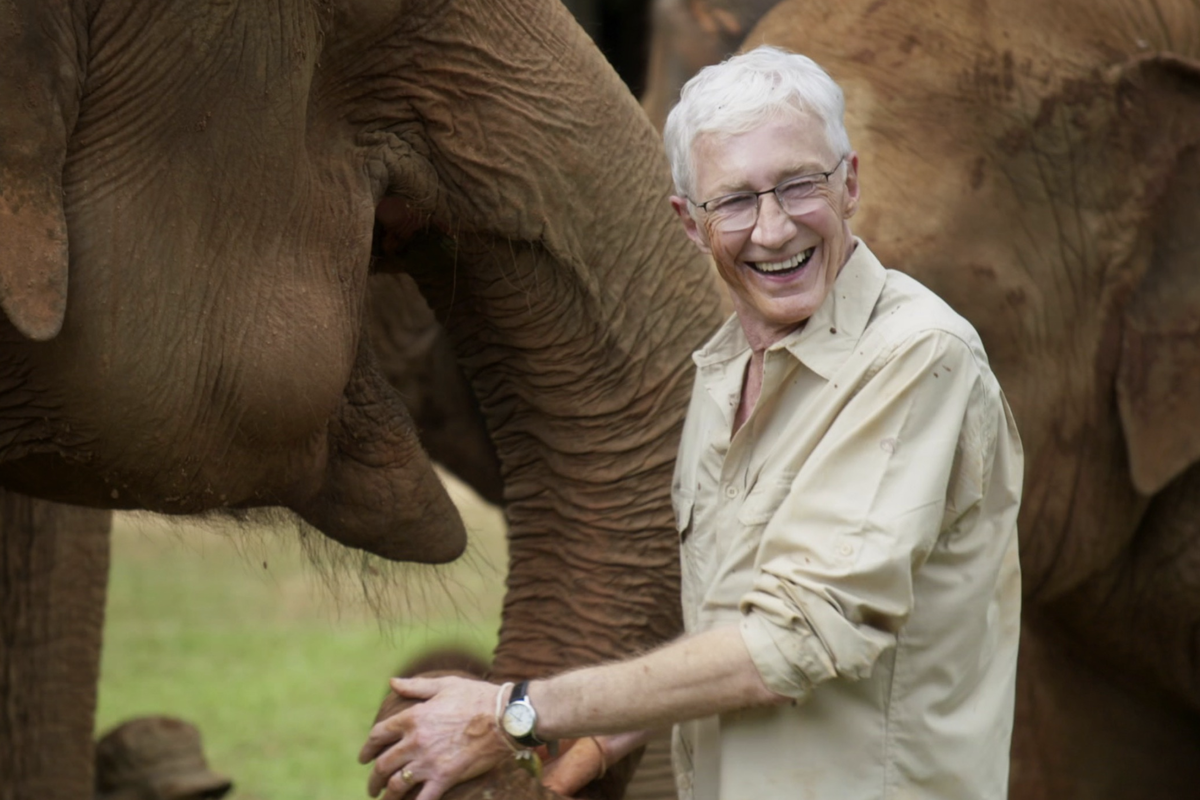 Paul O'Grady