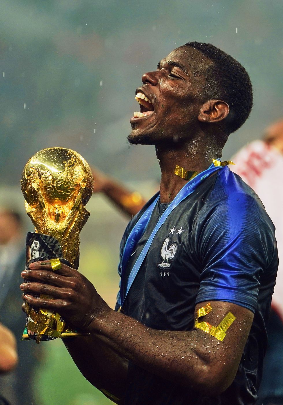 Paul Pogba World Cup