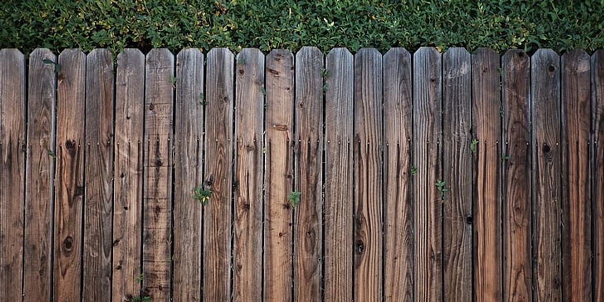 NextImg:Council row erupts as homeowner fined £2k after being taken to court by local authority over height of fence