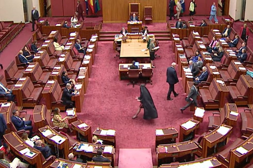 Pauline Hanson's dramatic entrance sparked immediate outrage among senators who denounced the display as racist