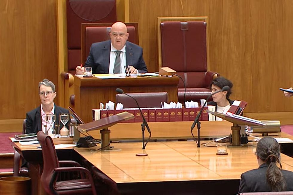 Pauline Hanson's protest sparked chaos in the Senate