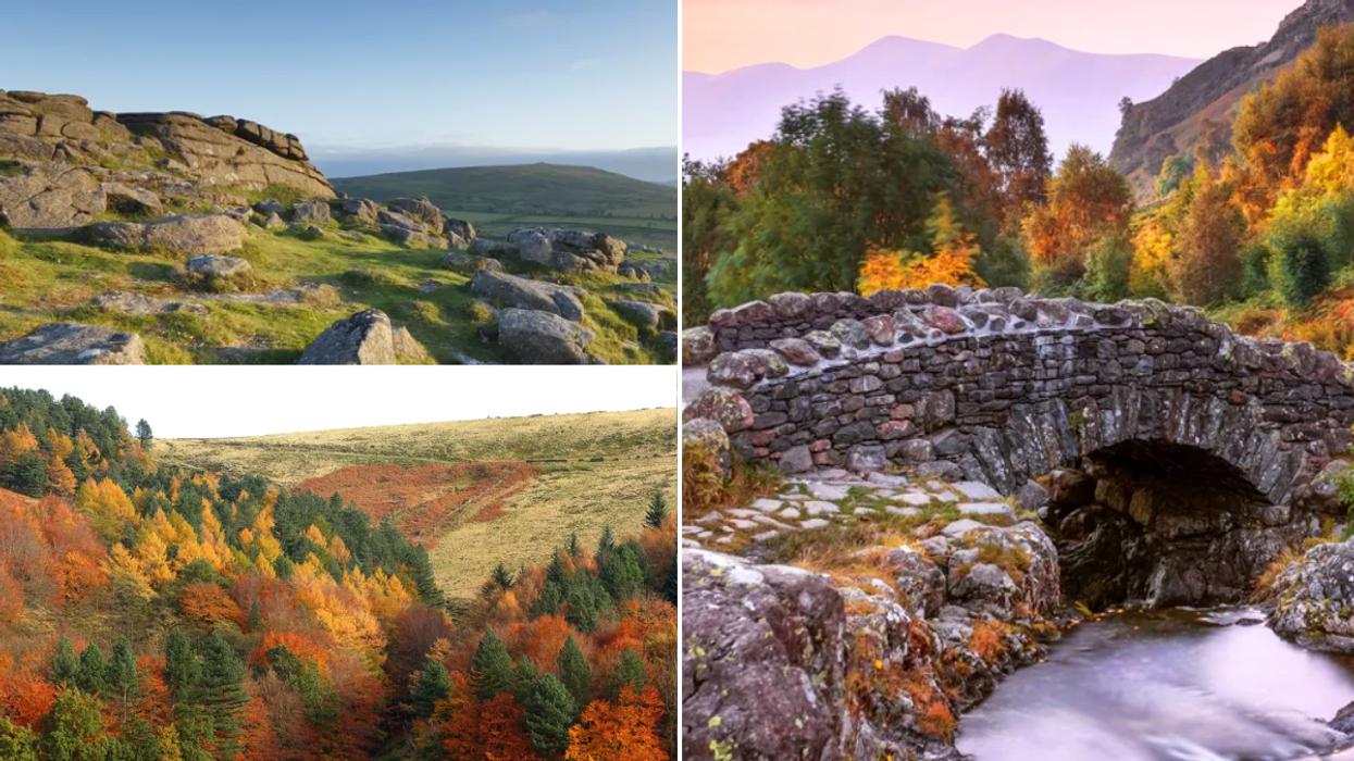 Peak District colourful trees on hill / Keswick Lake District / Dartmoor