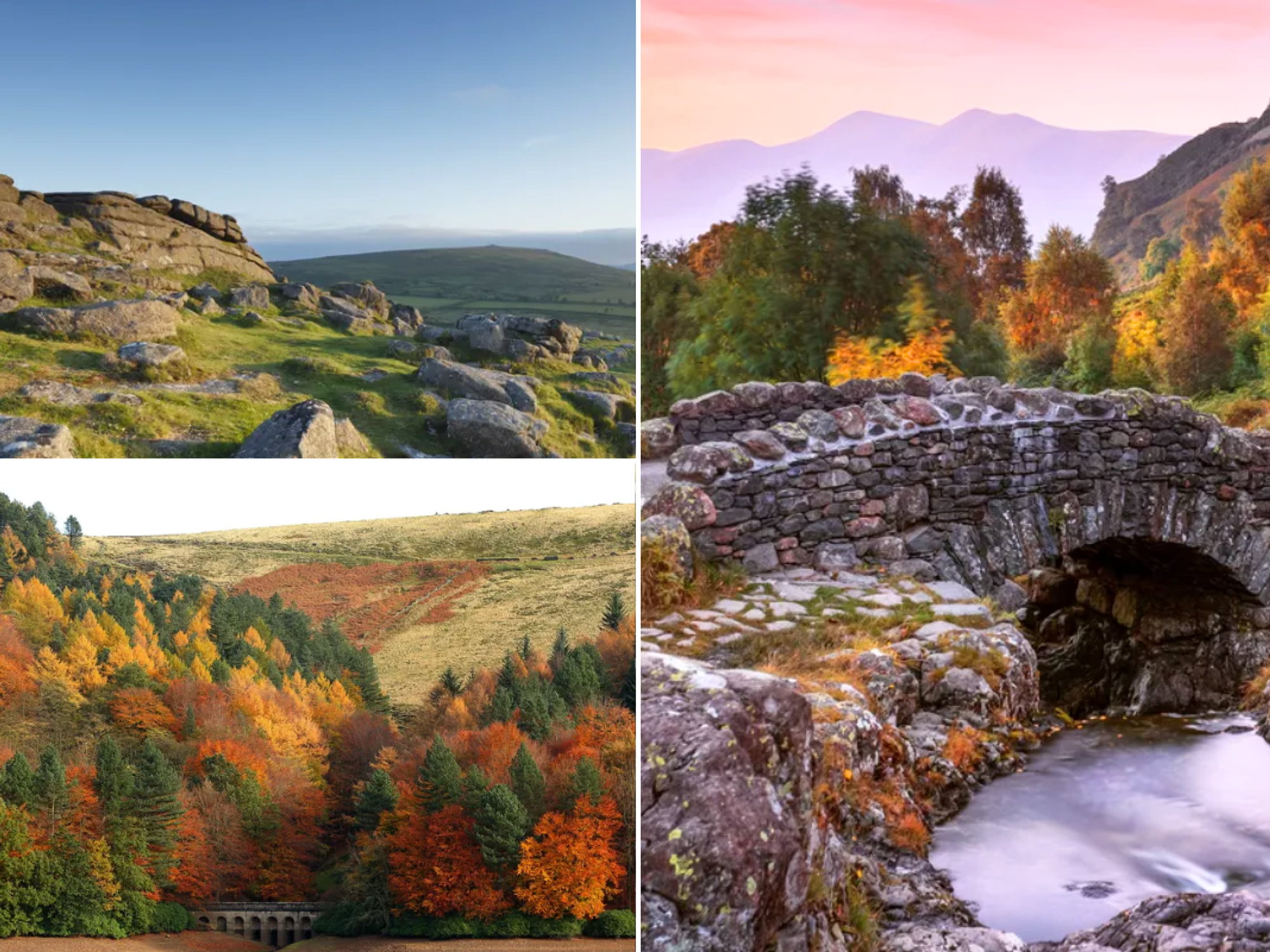 Peak District colourful trees on hill / Keswick Lake District / Dartmoor