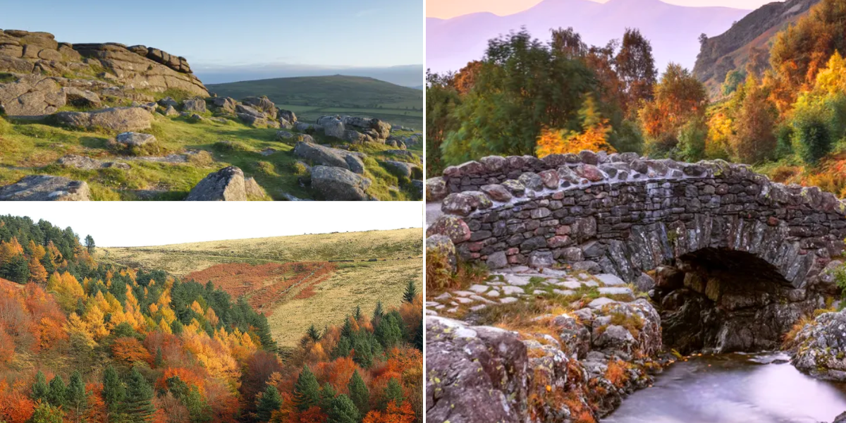 NextImg:Staycation: Five spectacular parts of the UK to visit for a 'magical autumn displays exploding with colour'
