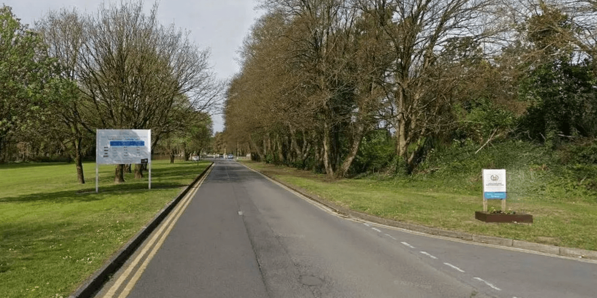 Two people rushed to hospital after toboggan crash at Pembrey Country Park Two people rushed to hospital after toboggan crash at Pembrey Country Park