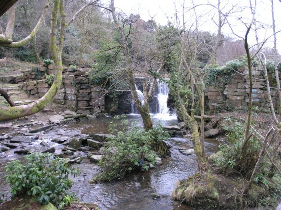 Penllergare Valley Wood