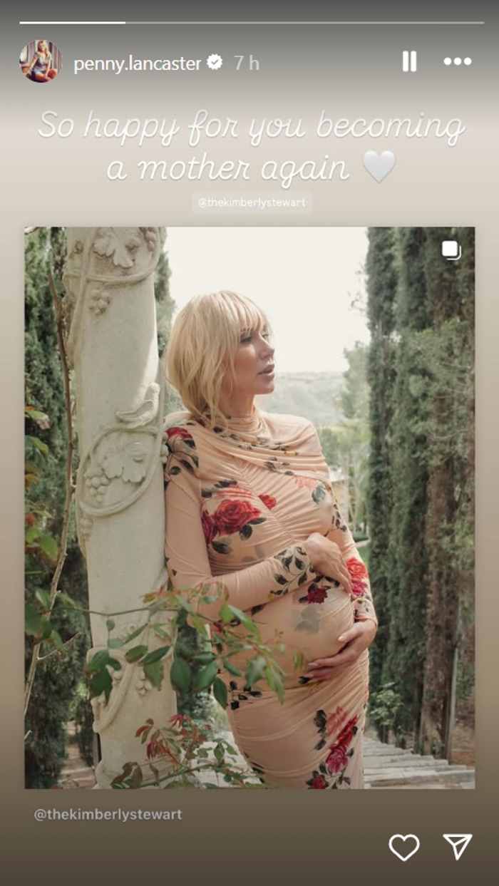 Penny Lancaster Instagram story
