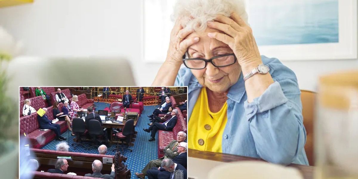 Lords probe Government pension levy Lords probe Government pension levy