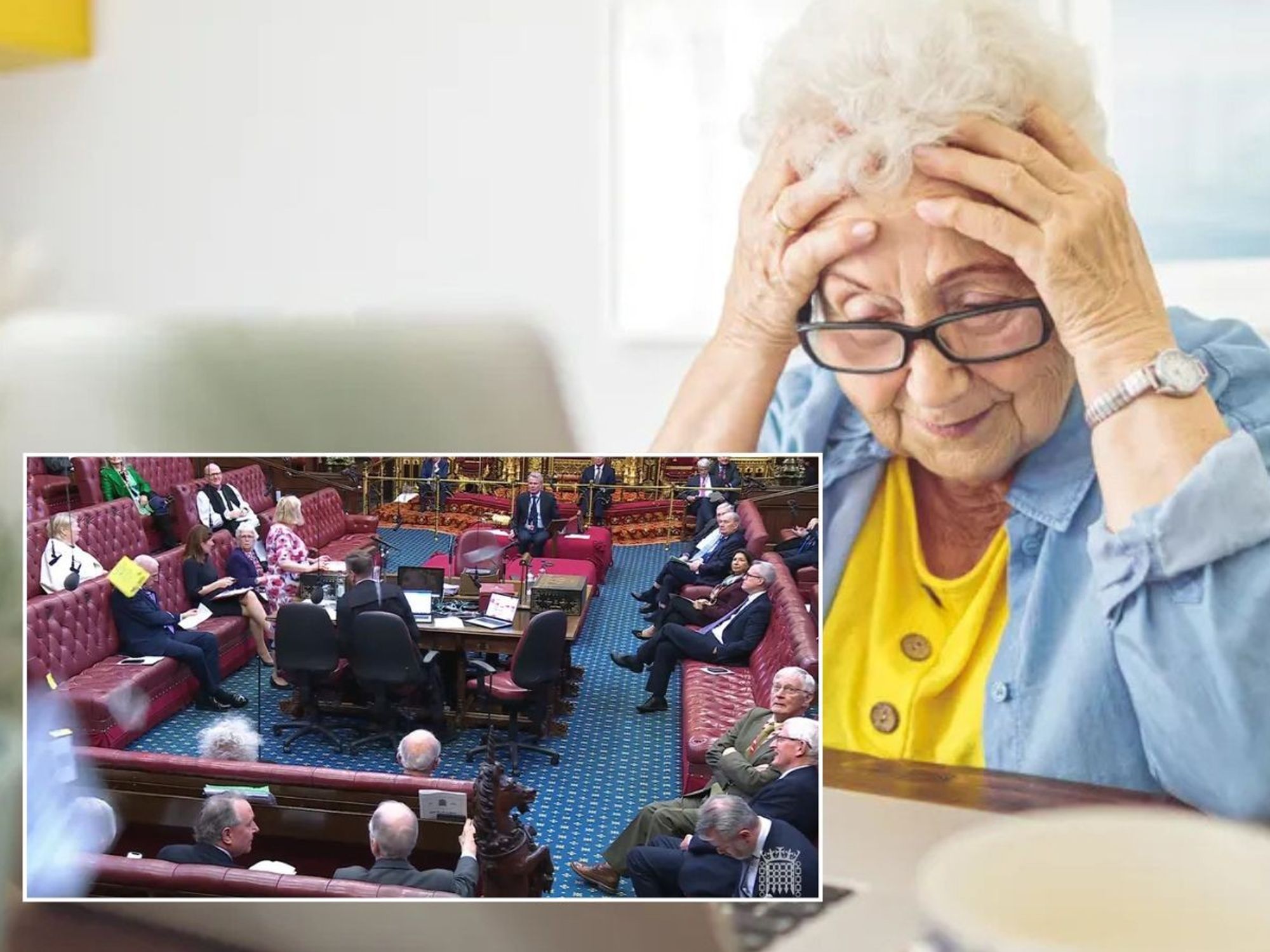 Pensioner and House of Lords