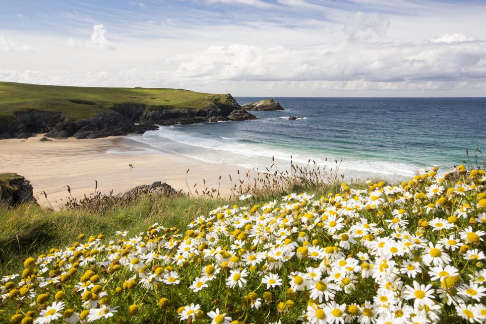 Pentire Point near Newquay, Cornwall