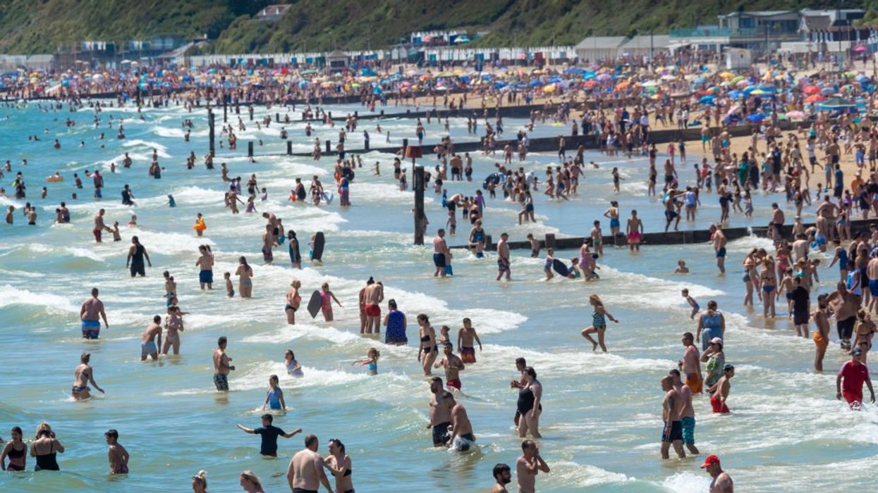 People swimming in sea