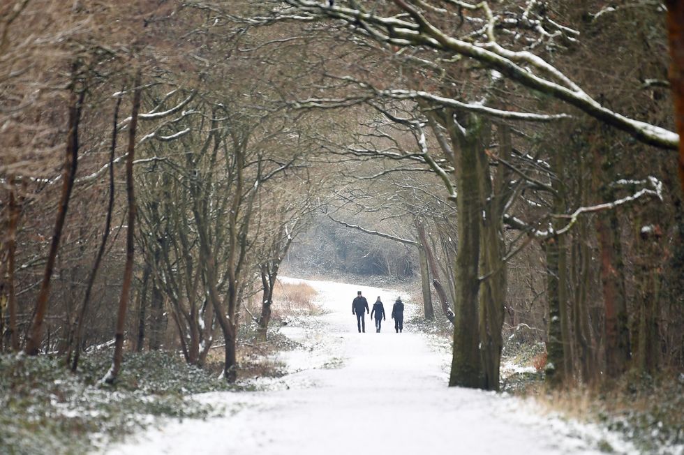 People take a walk in Epping Forest as the cold snap continues to grip much of the nation