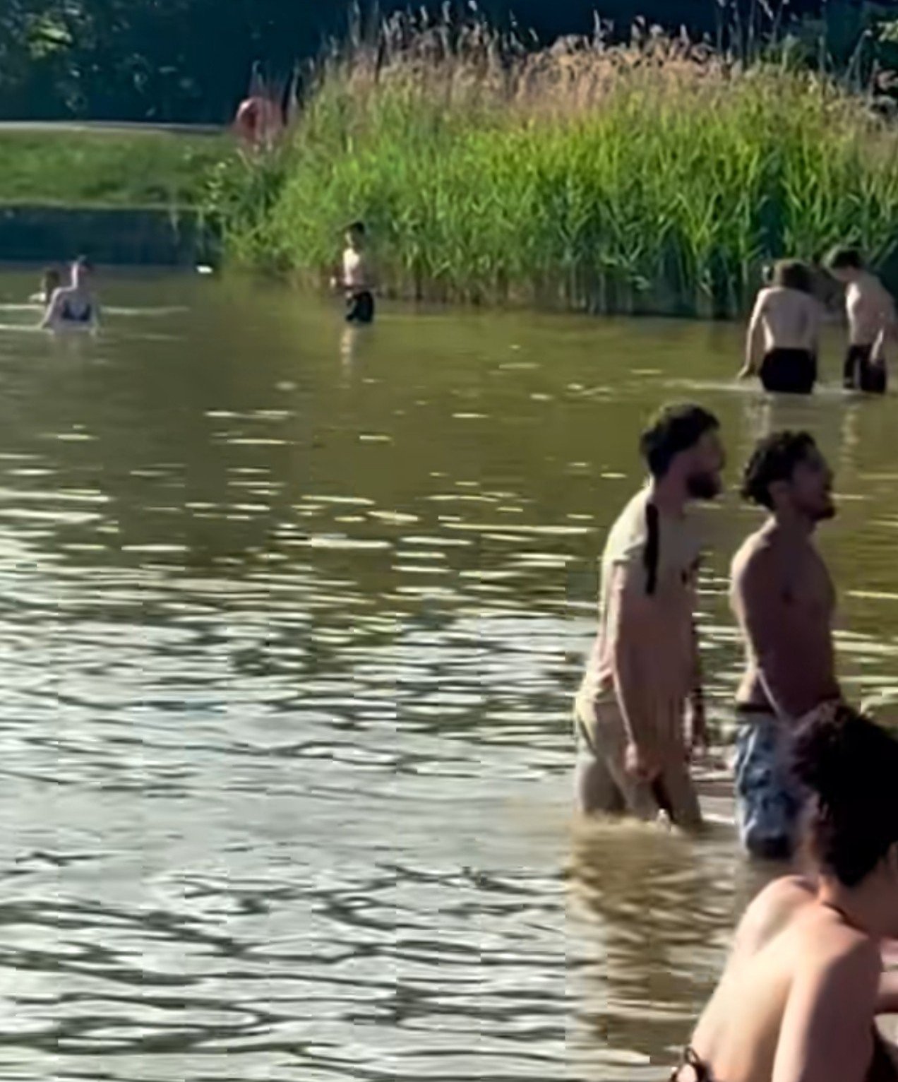 People wading in Hampstead Heath pond
