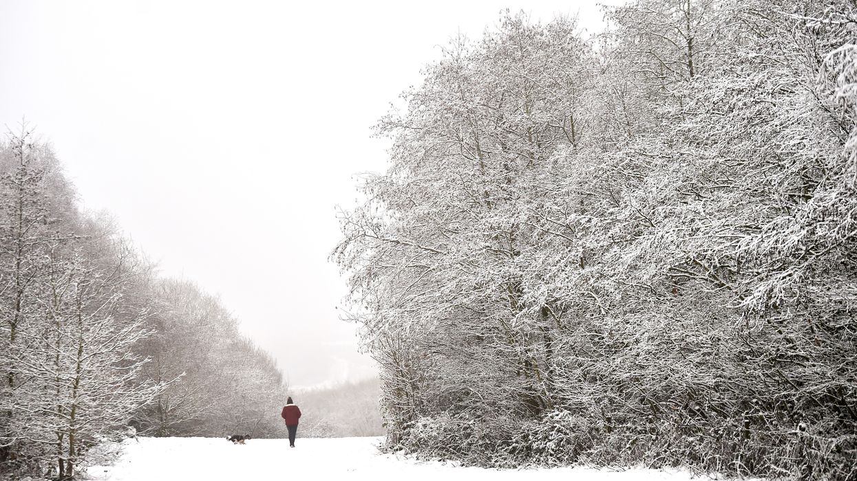 Person in cold weather