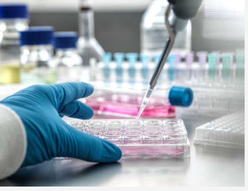 Person putting a sample into a petri dish