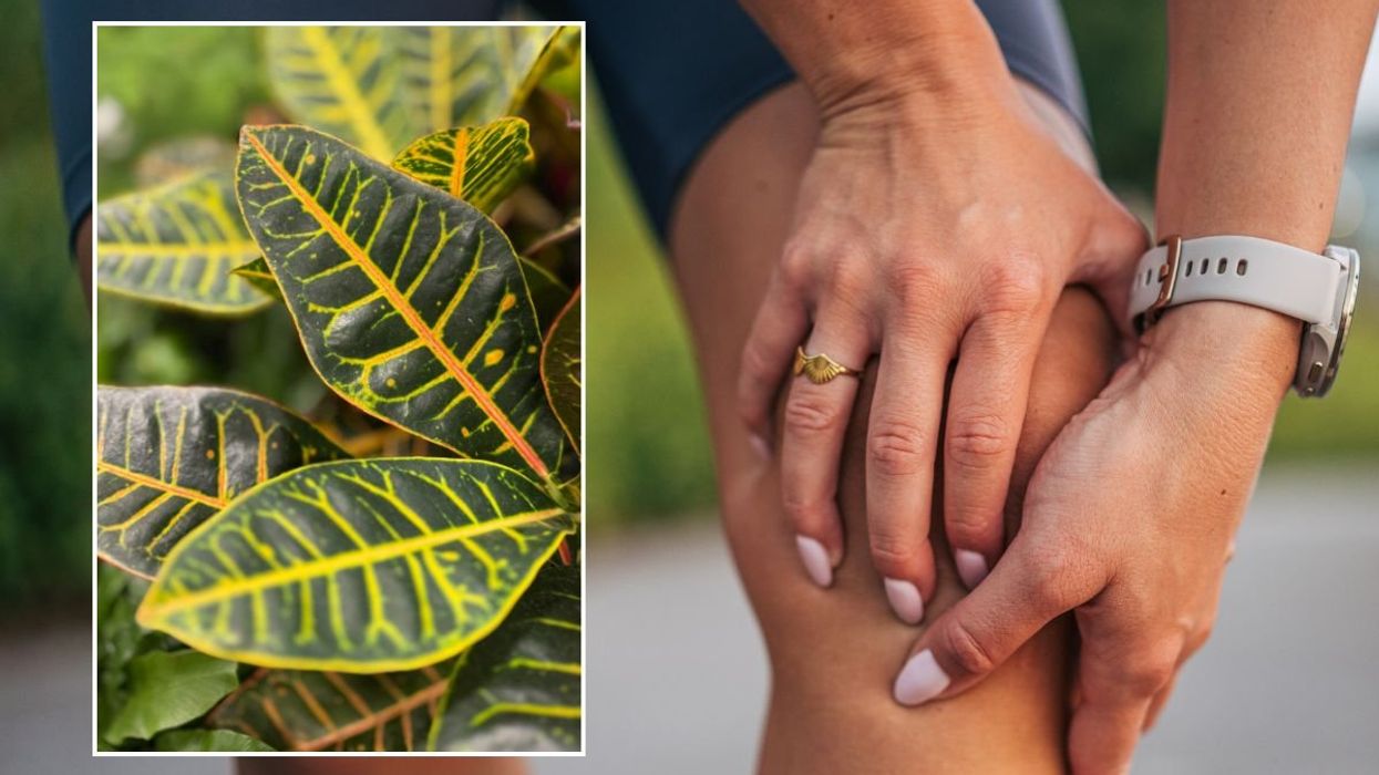 PERSON SUFFERING JOINT PAIN