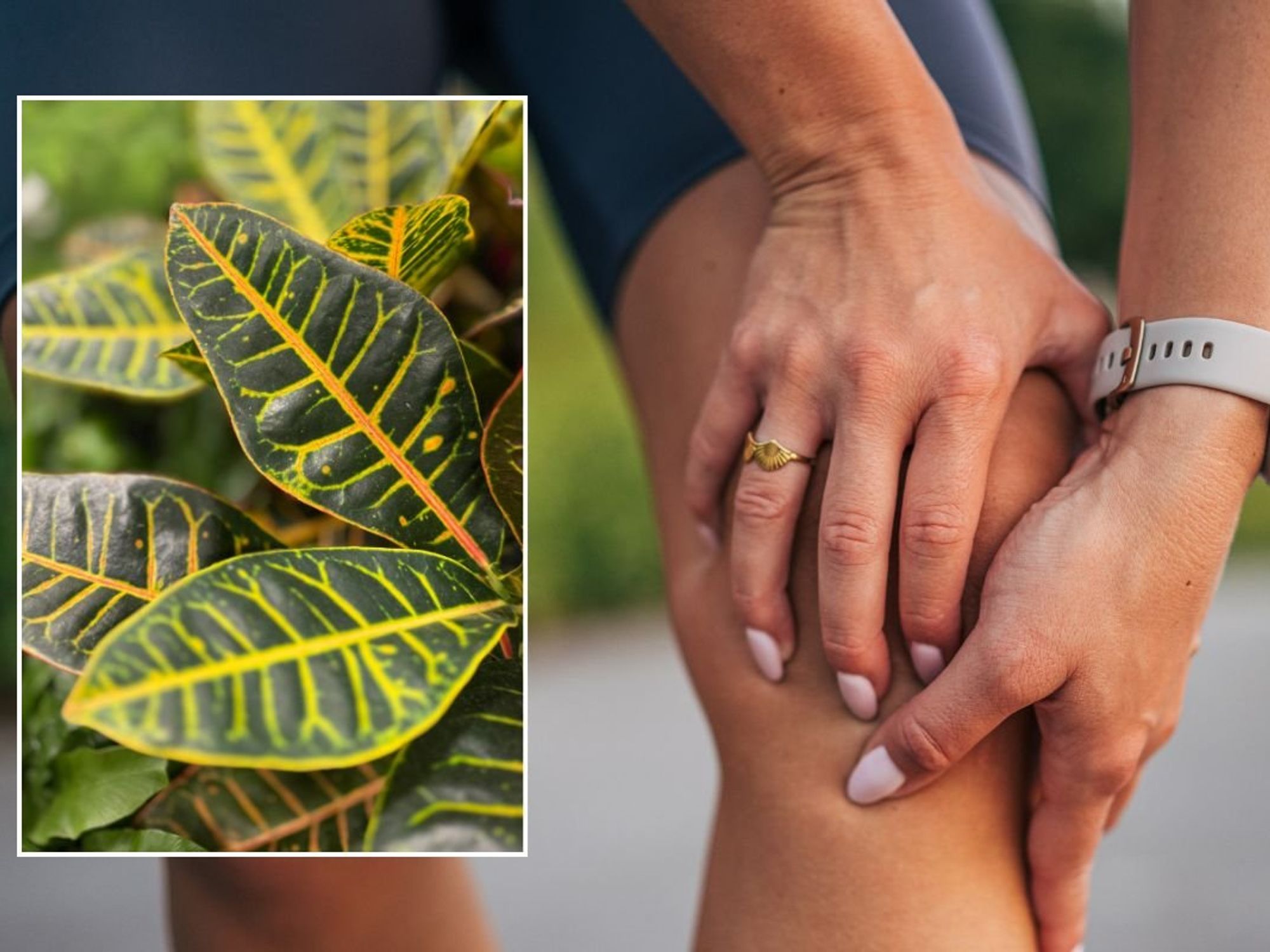 PERSON SUFFERING JOINT PAIN