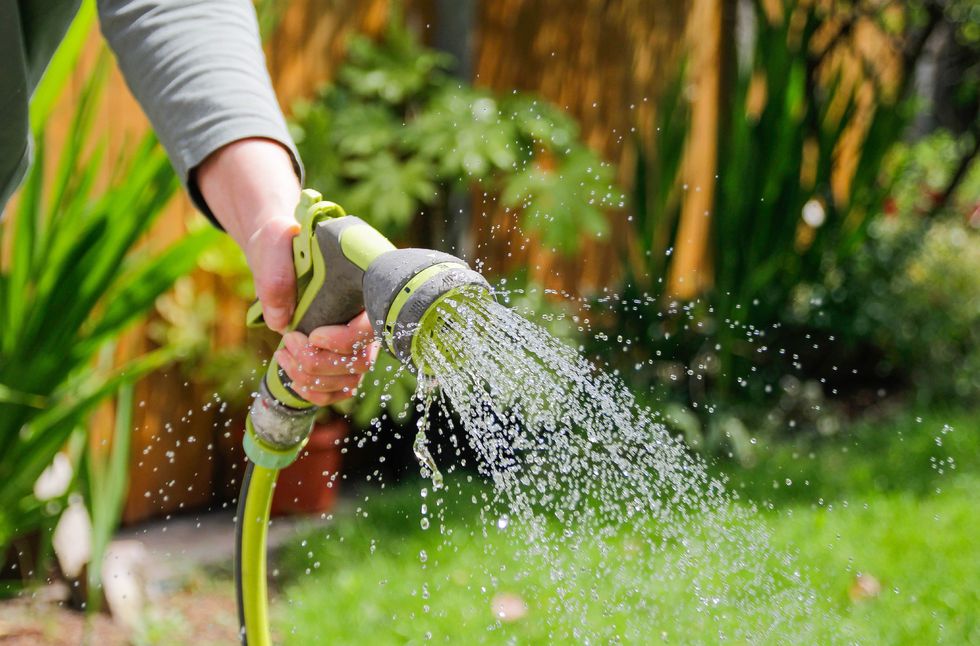Person using a hose to water their garden