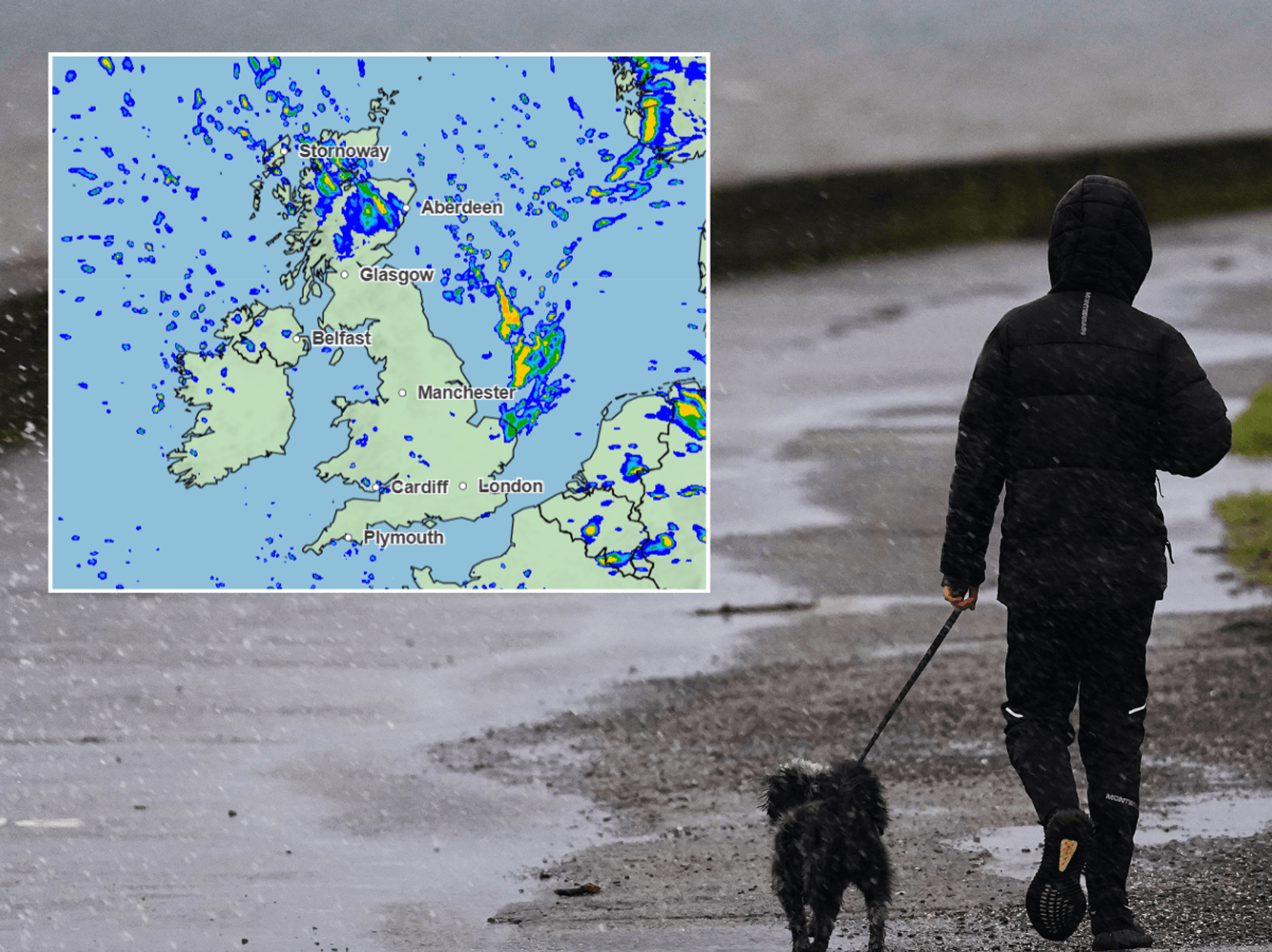 Person walking dog in windy and rainy weather