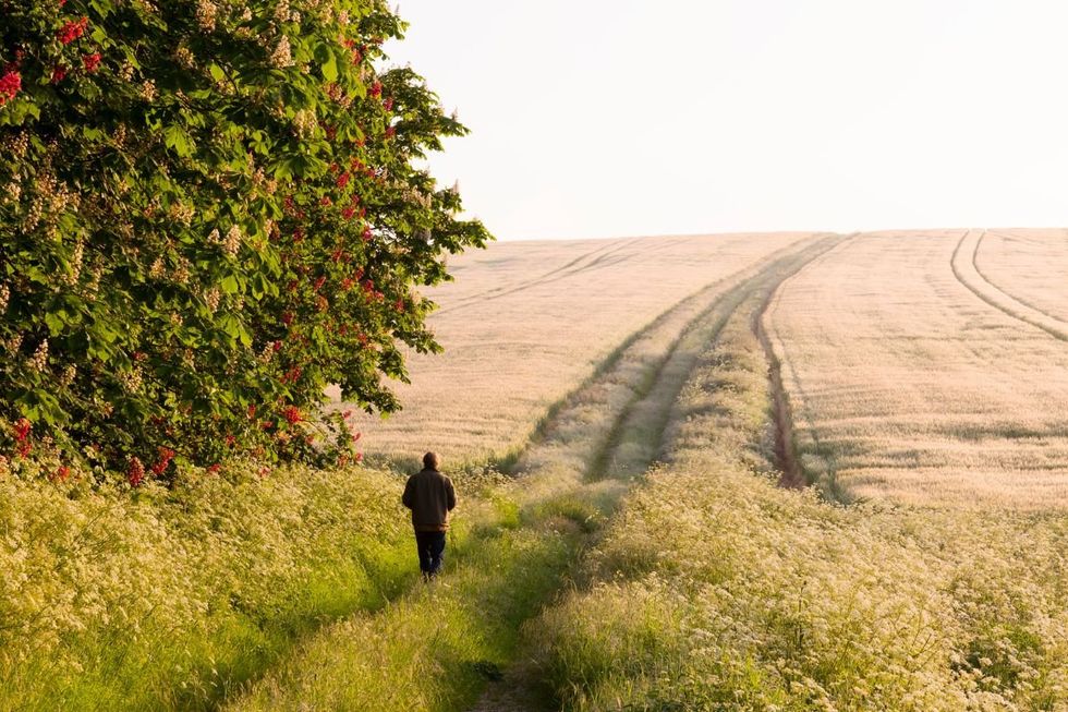 person WALKING IN COUNTRYSIDE