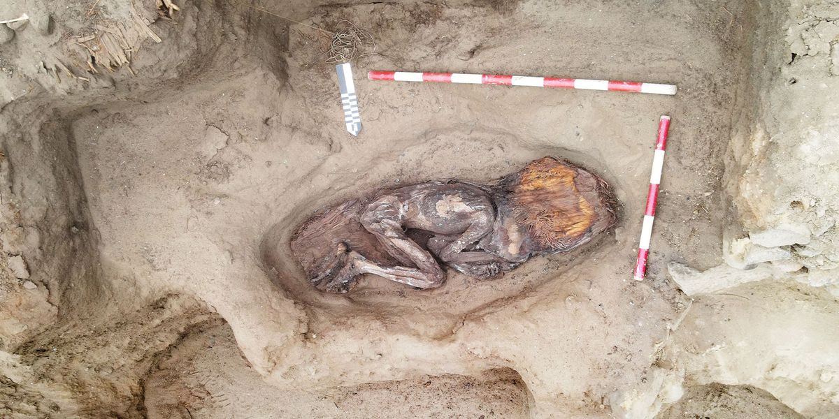 NextImg:Archaeologists uncover 5,000-year-old remains of 'elite woman' at old rubbish dump