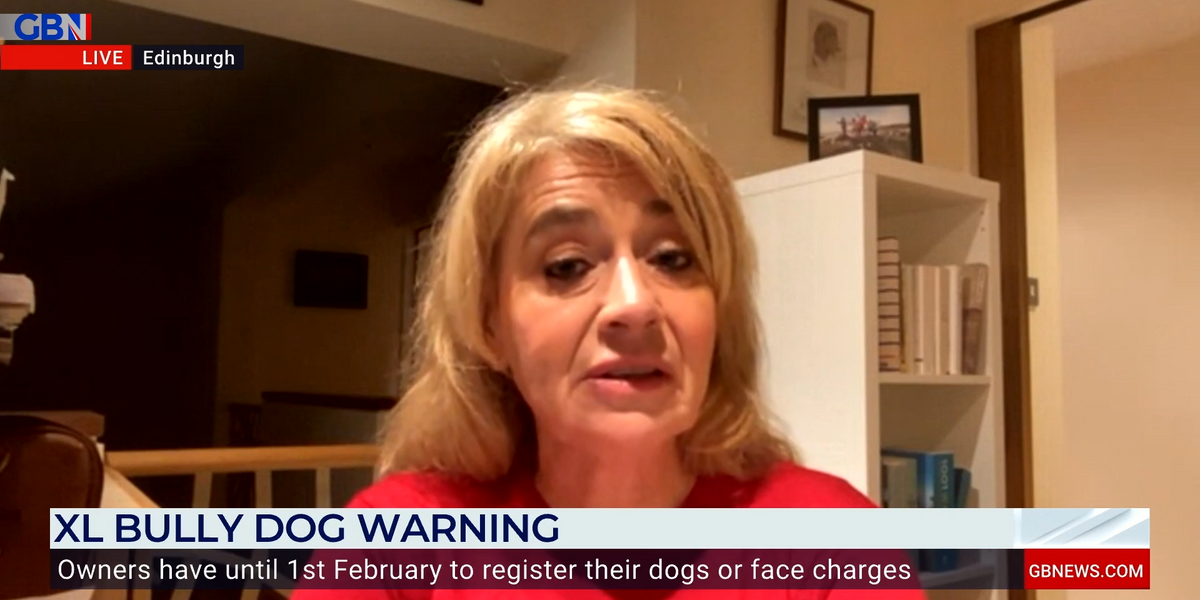 NextImg:Chief Veterinary Officer warns XL Bully owners to GET REGISTERED
