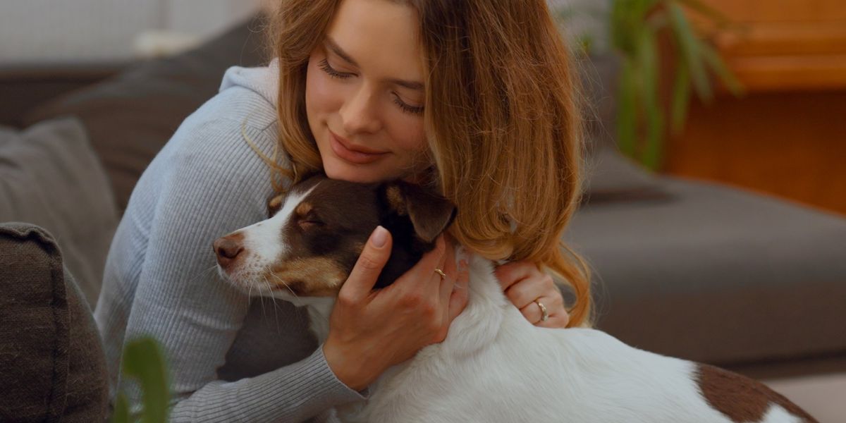 Petplanet used by over 100,000 owners COLLAPSES after 25 years of trading Petplanet used by over 100,000 owners COLLAPSES after 25 years of trading