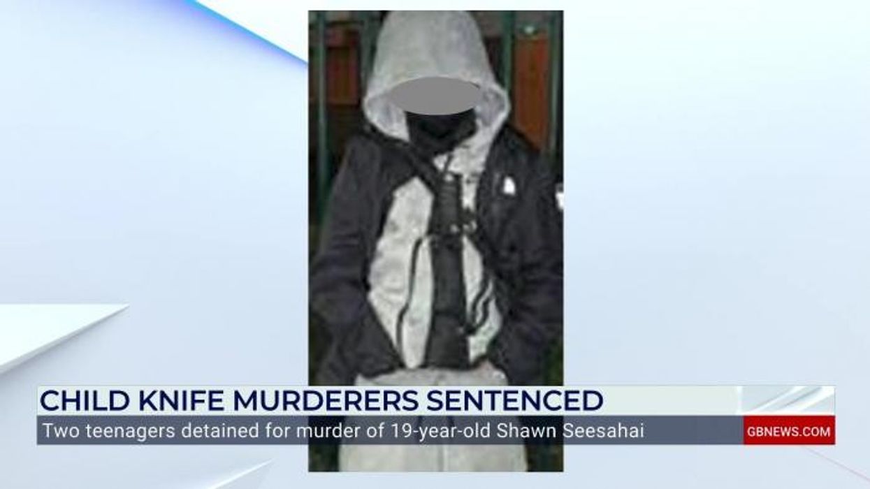 ‘Feral scum!’ Ex-Met detective demands Britain’s youngest knife killers are named ‘so we can cross the road to avoid them’
