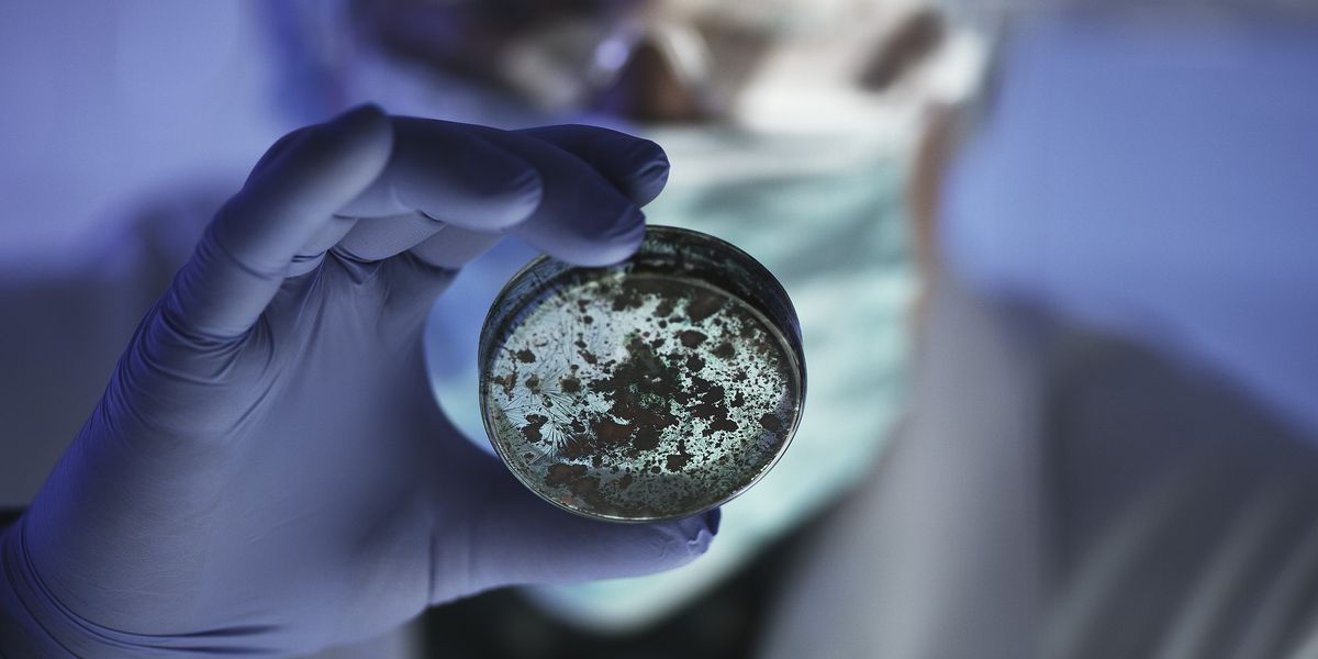 NextImg:Superbug could kill more than 184,000 Britons annually - urgent warning
