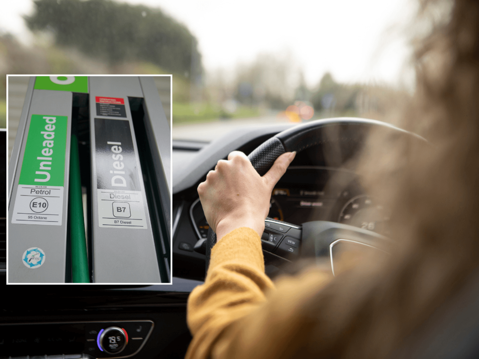 Petrol station and driver in car