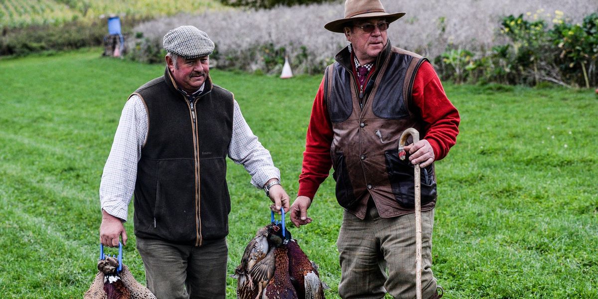 Labour moves to crack down on 500-year-old rural practice in latest attack on British countryside Labour moves to crack down on 500-year-old rural practice in latest attack on British countryside