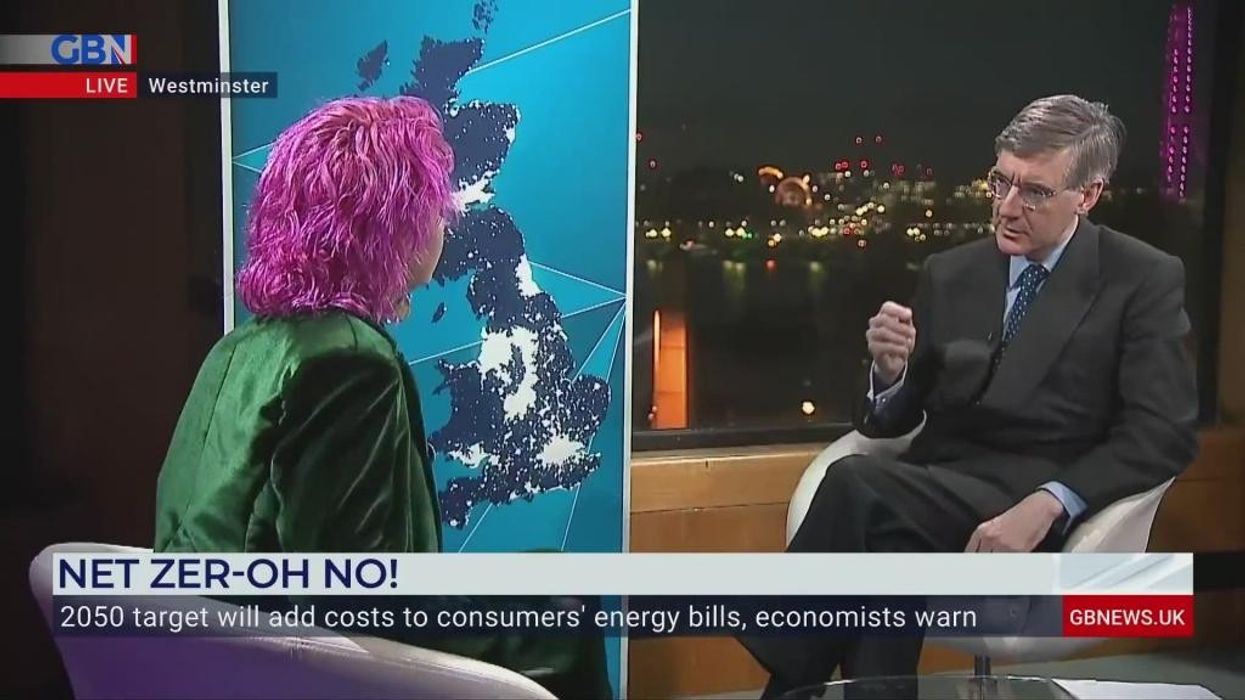 Climate activist who threw soup at van Gogh painting forced into embarrassing U-turn by Jacob Rees-Mogg - ‘I’m not a scientist!’