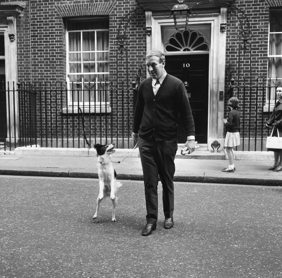 Pickles the dog became a celebrity in England after his rescue of the World Cup trophy
