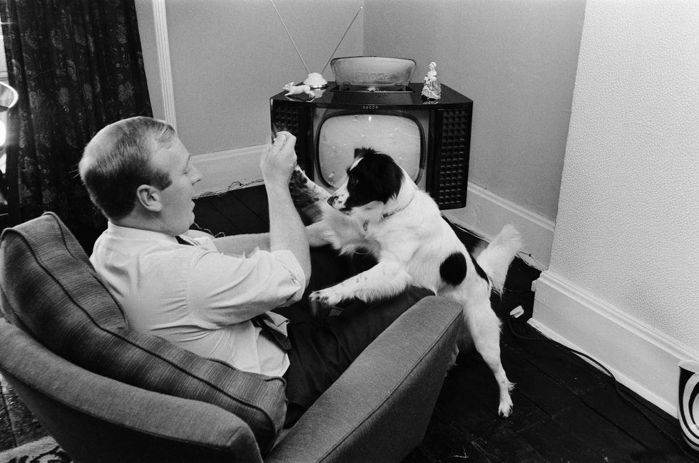 Pickles the dog pictured at home before his tragic death in 1967